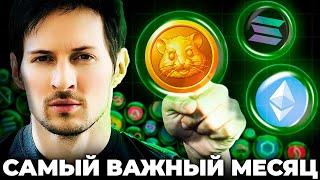 Главные События Июля Листинг Hamster Kombat Запуск Ethereum ETF Заседание ФРС Криптовалюта 2024