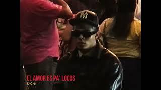 Tachi & BK - EL AMOR ES PA LOCOS Visualizer