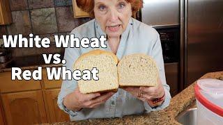 The Great Whole Wheat Bake Off Hard Red vs. Hard White Wheat