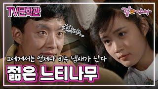 TV 문학관 젊은 느티나무박용식 김혜수 이효정 정보석 최용욱 태현실 김순철 유순철 김소원 김세윤 KBS 1986.11.29. 방송