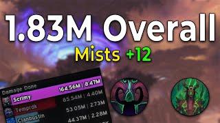 +12 Mists Havoc DH - 1.83M Overall NO AUG  11.0 M+ POV