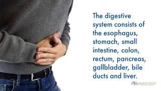 What is a Gastroenterologist? v