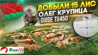 Добыли 15 лис за вечер Охота на лис в Беларуси с Олегом Крупицей