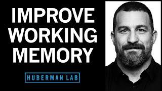 Tools to Enhance Working Memory & Attention