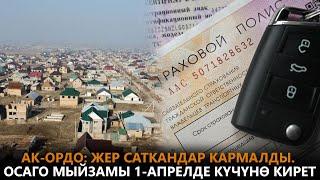 Ак-Ордо жер саткандар кармалды. ОСАГО мыйзамы 1-апрелде күчүнө кирет