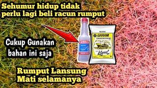 Cara Membasmi rumput agar cepat maticukup gunakan cairan dari bahan ini semua rumput mati