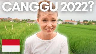 Canggu - is it still WORTH IT for digital nomads?