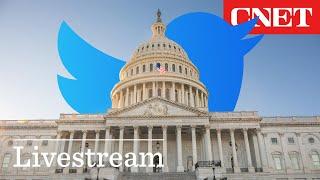 WATCH Former Twitter Execs Testify at Congress - LIVE