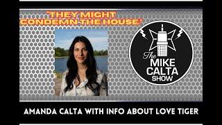 Amanda Calta With Info About Love Tiger  The Mike Calta Show