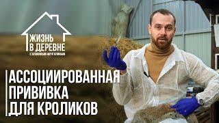 Ассоциированная прививка для кроликов