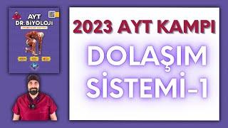 Dolaşım Sistemi-1 AYT Biyoloji Kampı Konu Anlatımı 11.Sınıf 2024 Tayfa