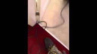 Dyson dc50 animal vacuuming my mums bedroom