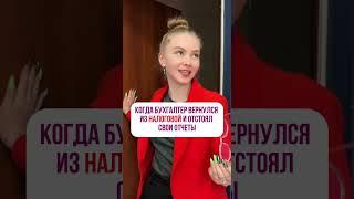 Когда бухгалтер вернулся из налоговой и отстоял свои отчёты