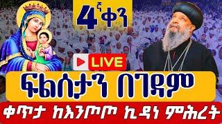 ⭕️Live #ፍልሰታን በገዳም 4ኛ ቀን ️️ነሐሴ 4️️ቀጥታ ከእንጦጦ ሐመረ ኖኅ ቅድስት ኪዳነምሕረት  Eotc live filseta Aug 9