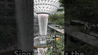 This place is too cool not to post  #singaporeairport #singapore #travelcouple