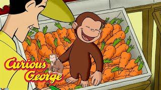 Where do vegetables come from?  Curious George  Kids Cartoon