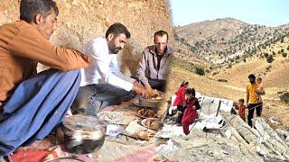 Engineer Babazadeh Sets Up Tents on Farmland A New Chapter Begins