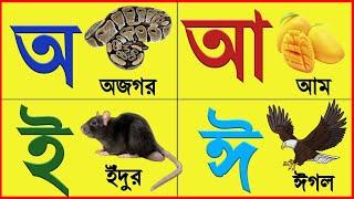 Bangla Bornomala  Aye Ajagar  অআইঈ  অয় অজগর  এসো শিখি বর্ণমালা  বাংলা সরবর্ণ