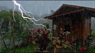 Ultimate Thunderstorm ASMR for Deep Relaxation and Anxiety Relief  Rain Carnation