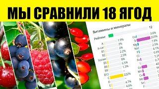 Find out the Most Healthy and Useless Berries