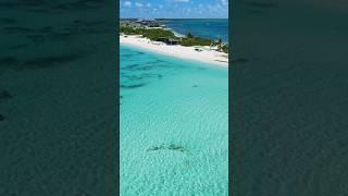 So soothing ️ #beach #travel #drone #vacation #beachsounds #inspiration #waves #beachambience