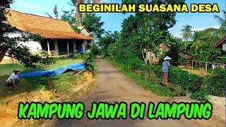 Kampung Jawa di Lampung  Suasana Desa Kampung Jawa