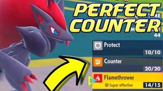 PERFECT COUNTER ZOROARK Pokemon Scarlet and Violet VGC 2023 Competitive Ranked Wifi Battle