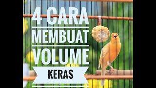 4 CARA AGAR VOLUME KENARI MENJADI KERAS