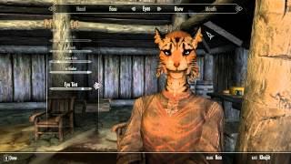 Skyrim Characters - Incredible Female Khajit Slider Stats