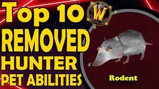 Top 10 Best Removed Hunter Pet Abilities From WoWs History