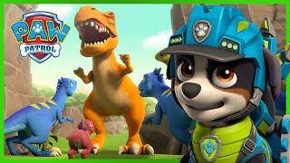 PAW Patrol Pup Rex Saves the Dino Wilds and MORE   PAW Patrol  Cartoons for Kids Compilation