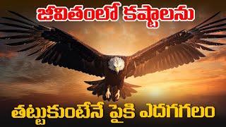 జీవితంలో ఓడిపోయినా ప్రతిసారి ఇది గుర్తుపెట్టుకో..  Never Give Up Without Fight  Voice Of Telugu