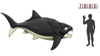 The New Look of Dunkleosteus  7 Days of Science