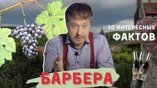 Сорт винограда БАРБЕРА - 10 интересных фактов