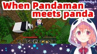 ENG SUB When Pandaman Sasaki Saku meets panda. NIJISANJI Vtuber 笹木咲