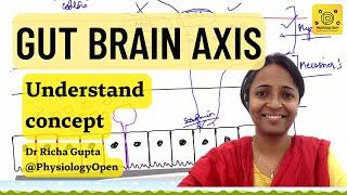 Physiology of Gut brain axis role of microbiome physiology  Gastrointestinal physiology