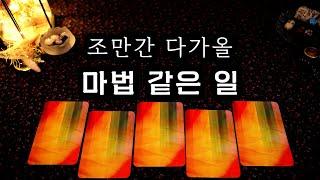 타로 조만간 다가올 마법 같은 일