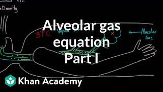 Alveolar gas equation - part 1  Respiratory system physiology  NCLEX-RN  Khan Academy