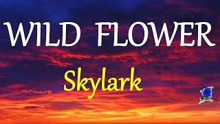 WILD FLOWER -  SKYLARK lyrics HD