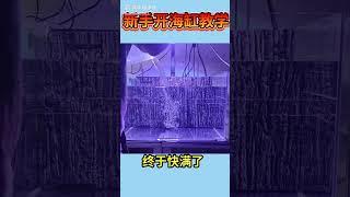 新手海水缸开缸教学