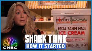 Lori Is Skeptical About This Entrepreneur  Shark Tank How It Started
