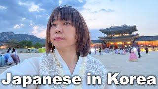 Day in the Life of a JAPANESE in KOREA  worldofmama