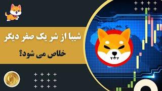 شیبا از شر یک صفر دیگر خلاص می‌شود؟ Shiba Inu