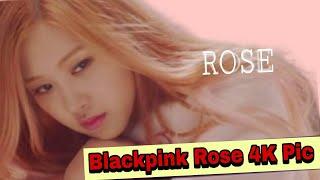 Blackpink rose 4k pic  ThePast