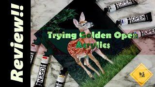 Slow Drying Acrylics? Golden Open Acrylics Review