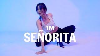 Shawn Mendes Camila Cabello - Señorita  Harimu Choreography