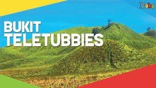 Bukit Teletubbies di Bromo - ndonesiaku