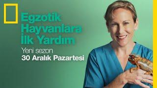 PEOPLE  Egzotik Hayvanlara İlk Yardım