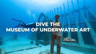 Dive the Museum of Underwater Art & John Brewer Reef
