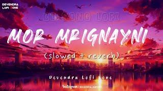 Mor Mrignayni  Cg Lofi slowed & reverb  Laxmi Pandey  Lakhi Sundrani#trending #viral #lofi #music